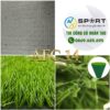 Cỏ sân bóng AFC 14