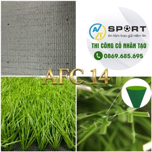 Cỏ sân bóng AFC 14