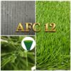 Cỏ sân bóng AFC12