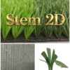 Cỏ sân bóng Stem 2D