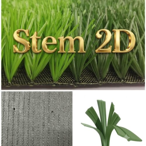 Cỏ sân bóng Stem 2D