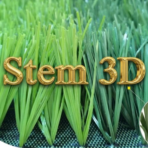 Cỏ sân bóng Stem 3D