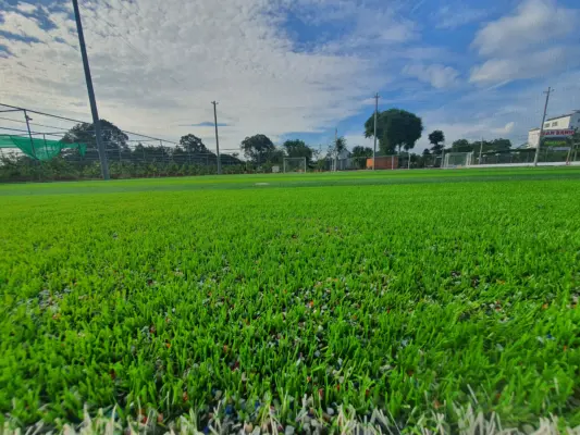 Hạt cao su At Sport