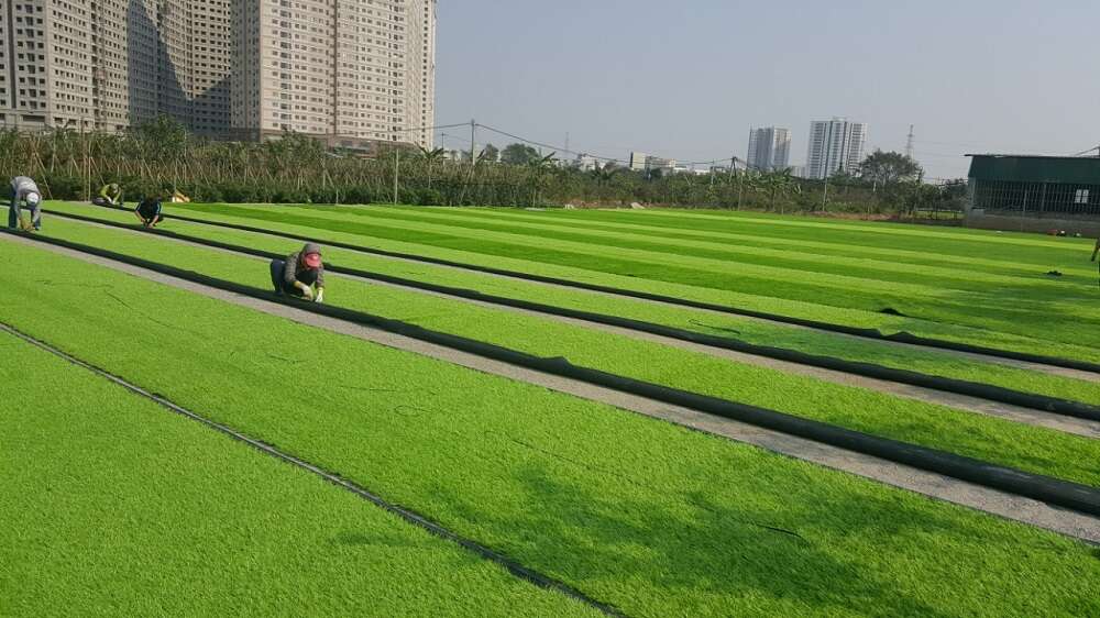 Lý do cần thay sân cỏ nhân tạo mới cho sân bóng cũ