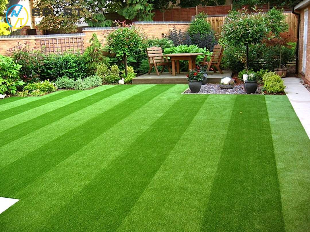 Chi phí đầu tư cỏ trang trí sân vườn