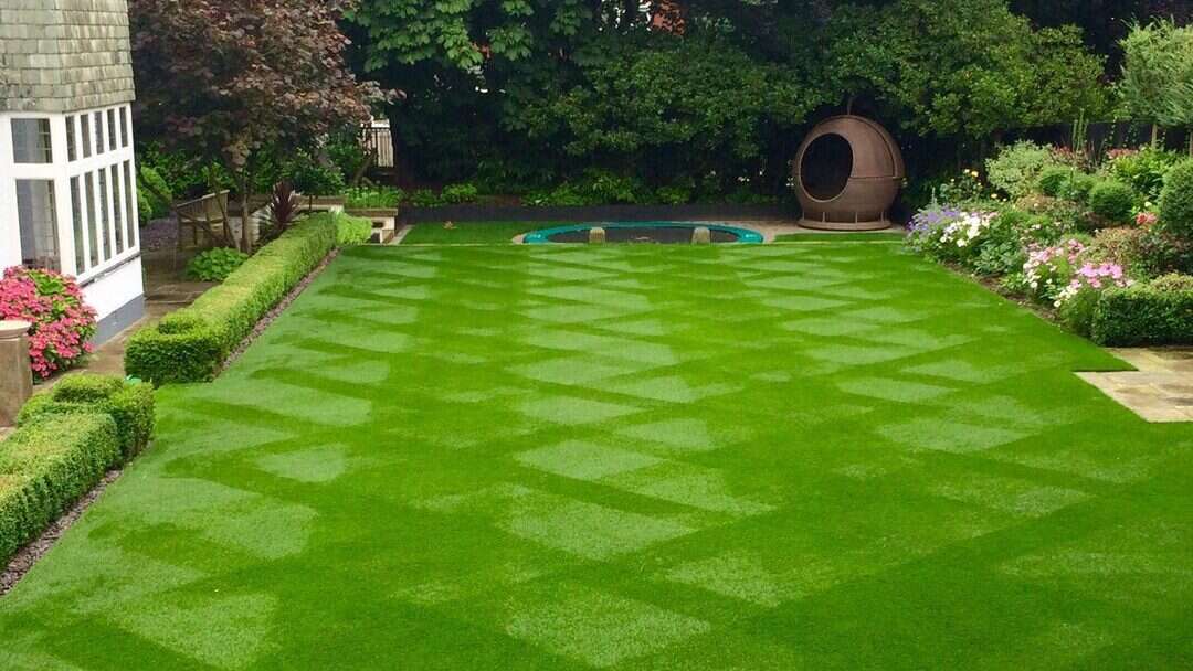 Thiết kế cỏ sân vườn phổ biến