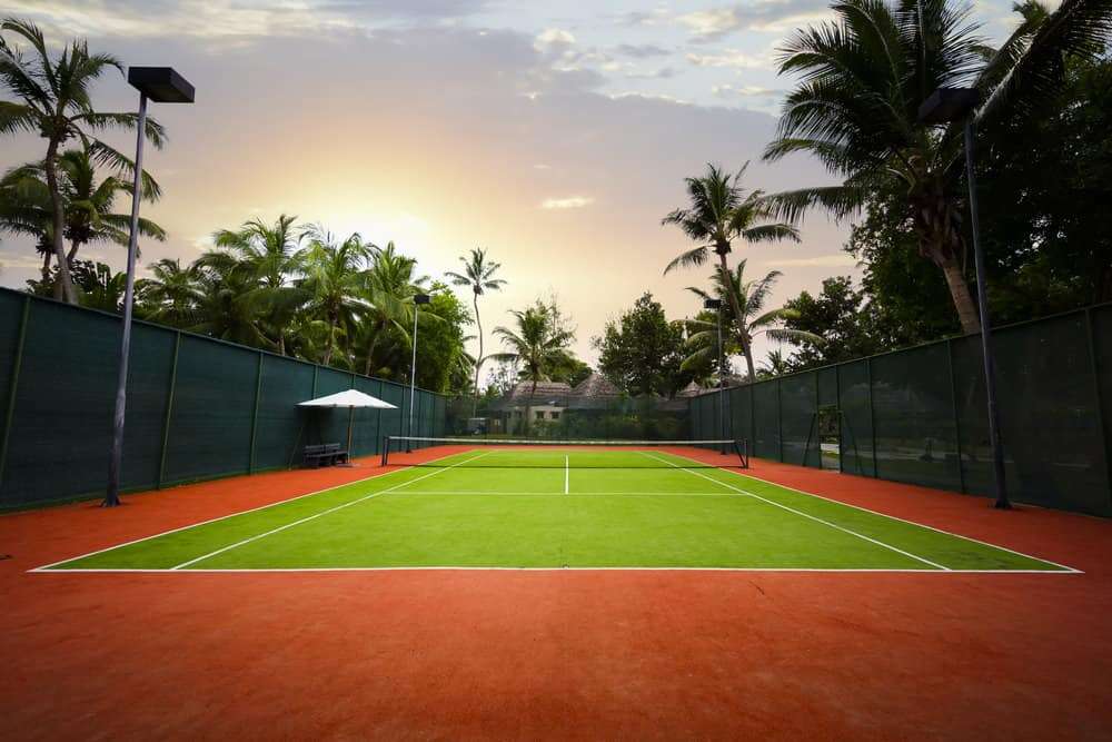 Sân tennis cỏ nhân tạo phổ biến hiện nay
