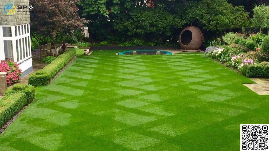 Thảm cỏ nhân tạo sân vườn