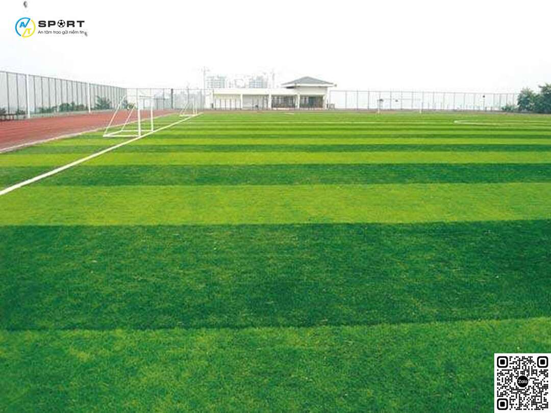 Hình ảnh sân cỏ bóng đá tuyệt đẹp