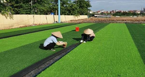 Bảo dưỡng sân cỏ nhân tạo